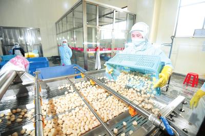 岳陽日報 食品生產安全，守護市民餐桌健康