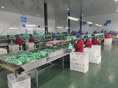 長沙 將食品安全視為企業的生命線，筑牢食品生產根基