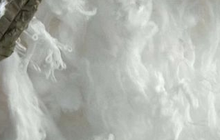 滌綸短纖現(xiàn)貨價(jià)格繼續(xù)回落